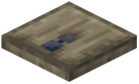 Fir Trapdoor
