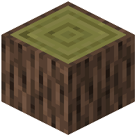 Pine Log