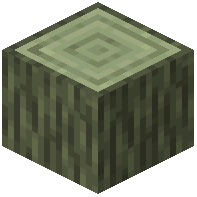 Willow Log