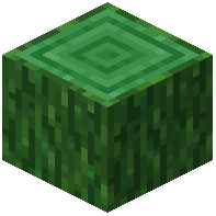 Green Enchanted Log