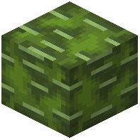Palo Verde Wood