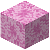 Pink Allium Petal Block
