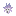 Soul Fruit