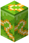 Lime Glazed Terracotta Wall