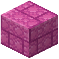 Brain Coral Bricks