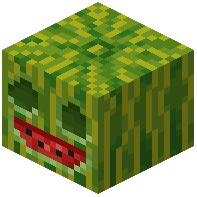 Carved Melon
