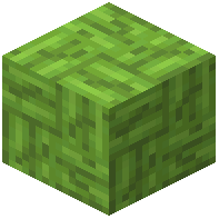 Cracked Green Bamboo Mosaic