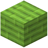 Green Bamboo Planks