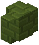 Green Concrete Brick Wall