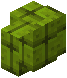 Melon Brick Wall