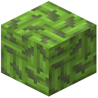 Mossy Green Bamboo Mosaic