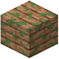 Mossy Jungle Planks