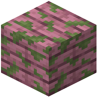 Mossy Mahogany Planks