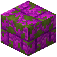 Overgrown Bubble Coral Bricks