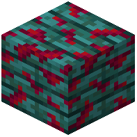 Overgrown Warped Planks