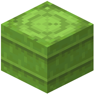 Stripped Green Bamboo Log