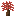 Maple Sapling
