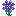 Indigo Flower