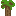 Rubber Sapling