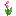 Void Lily