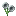 Glimmering Light Gray Flower