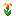 Glimmering Orange Flower