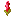Glimmering Red Flower