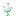 Spectranthemum
