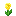 Mystical Yellow Flower