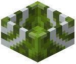 Green Glazed Botany Pot