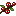 Guaraná