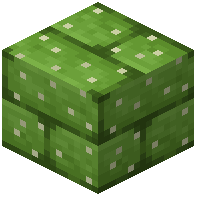 Cactus Brick