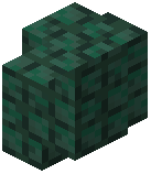 Darker Prismarine Wall