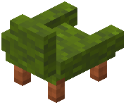 Green Acacia Chair