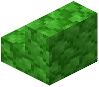 Green Cobblestone Stairs