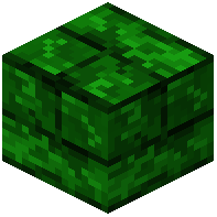 Green Dye Bricks