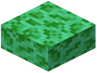 Green End Stone Slab