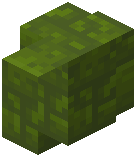 Green Wool Brick Wall