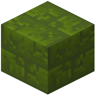 Green Wool Bricks