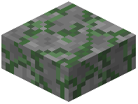 Jungle Stone Slab
