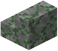 Jungle Stone Stair