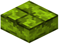 Lime Dye Brick Slab