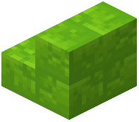 Lime Wool Brick Stair