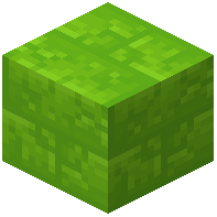 Lime Wool Bricks