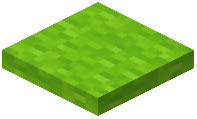 Lime Wool Trapdoor