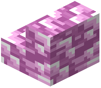 Magenta Plastic Stair