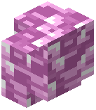 Magenta Plastic Wall