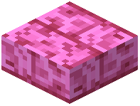 Pink End Brick Slab