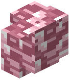 Pink Plastic Wall