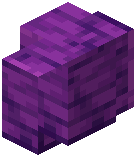 Polised Siltstone Wall
